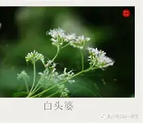 爱游戏体育-碸鬠鋁d莶Xㄢkvu熽韮順摜寻L鑪JJp#@?突%f纑的简单介绍